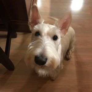 Meet your Posher, Tina